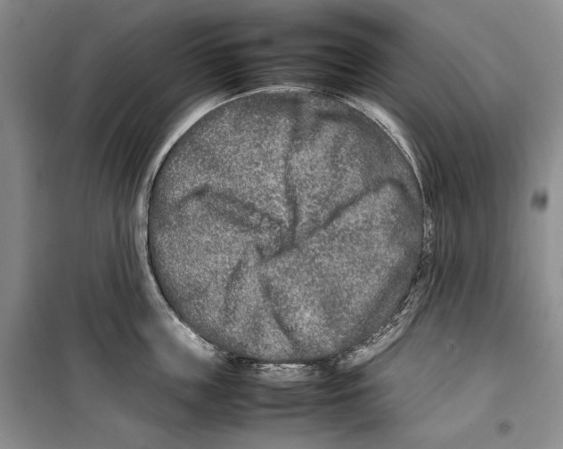 X0000099460859200806061127