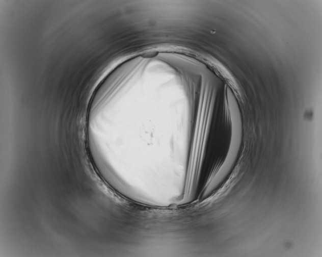 X0000099460860200806061127