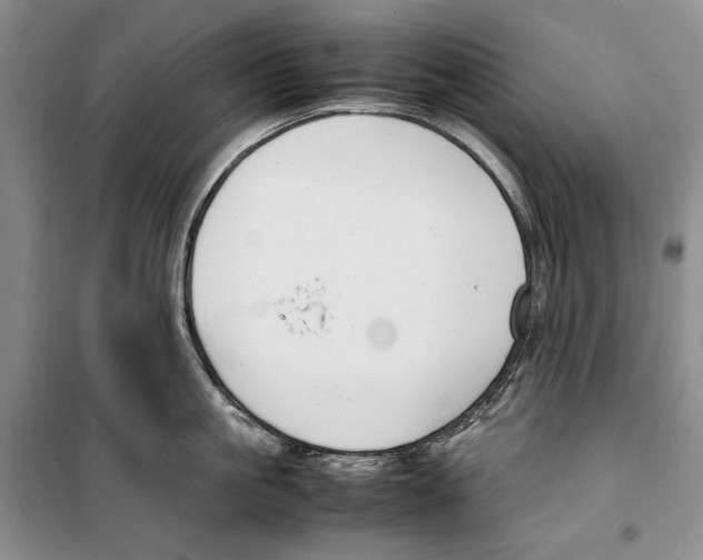 X0000099460861200806061127