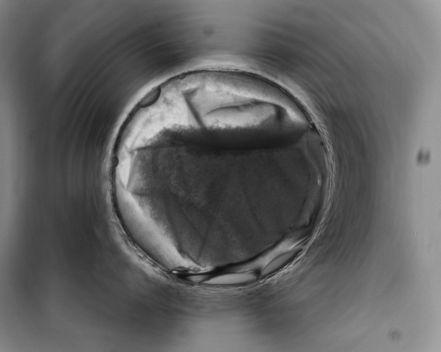 X0000099460864200806061127