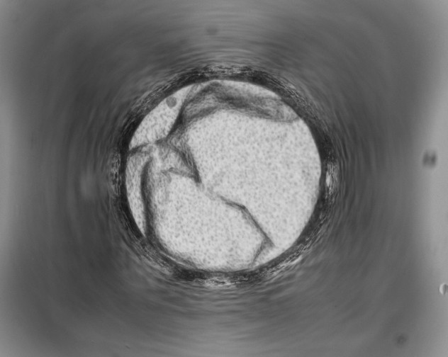 X0000099460867200806061126