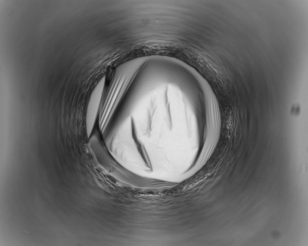 X0000099460868200806061126