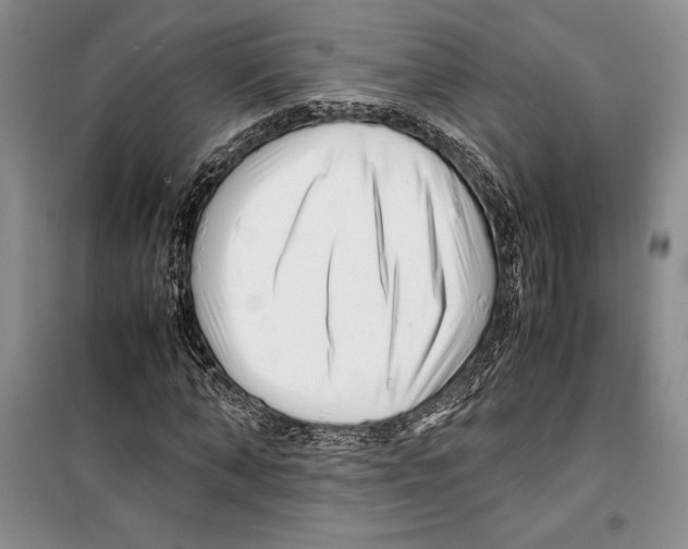 X0000099460870200806061126