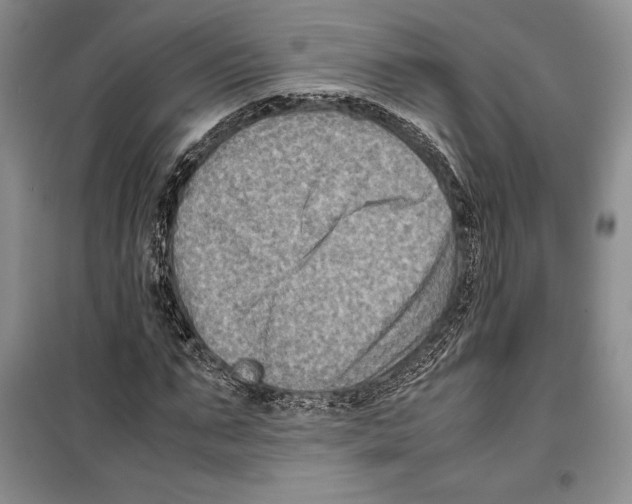 X0000099460871200806061126