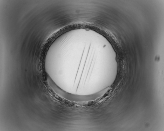 X0000099460872200806061126