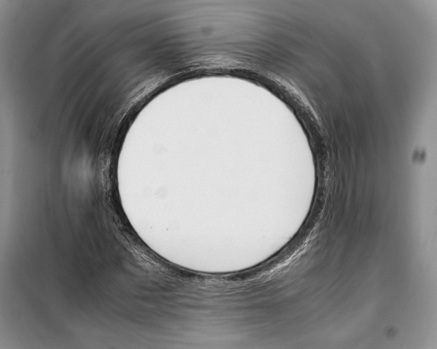 X0000099460873200806061126