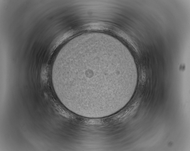 X0000099460874200806061126