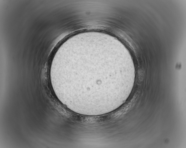 X0000099460875200806061126