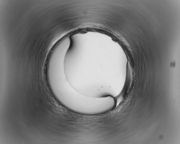 X0000099460877200806061126