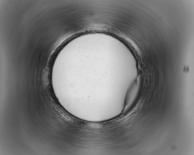 X0000099460878200806061126