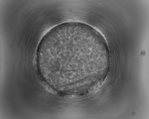 X0000099460879200806061126