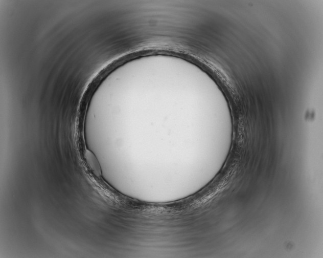 X0000099460880200806061126