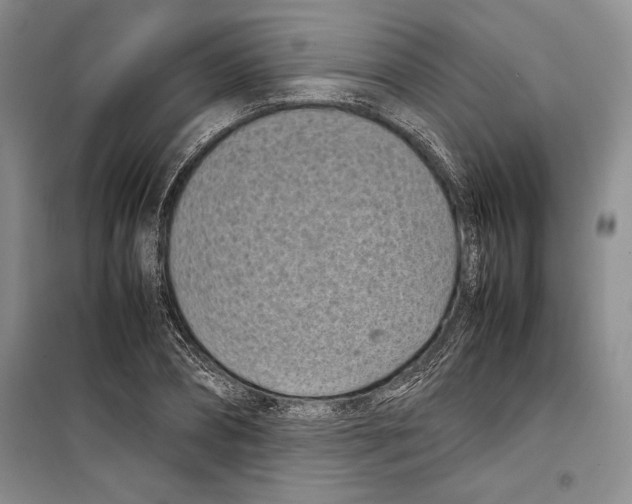 X0000099460882200806061126