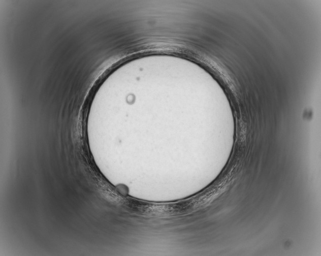 X0000099460883200806061126