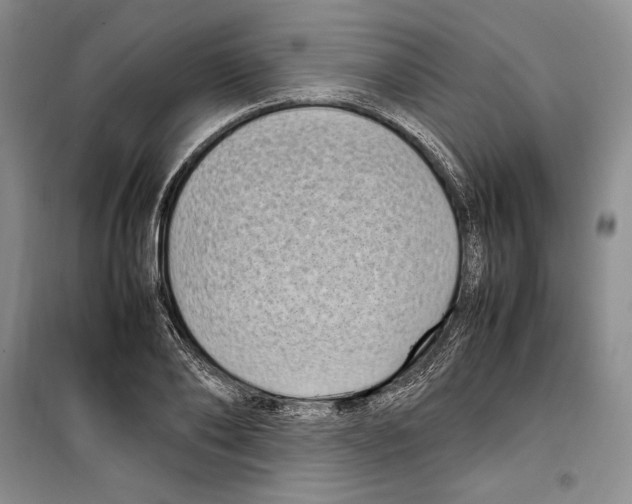 X0000099460886200806061126