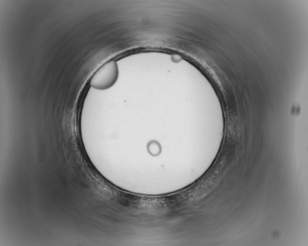 X0000099460887200806061126