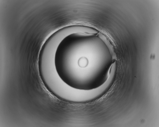 X0000099460888200806061126