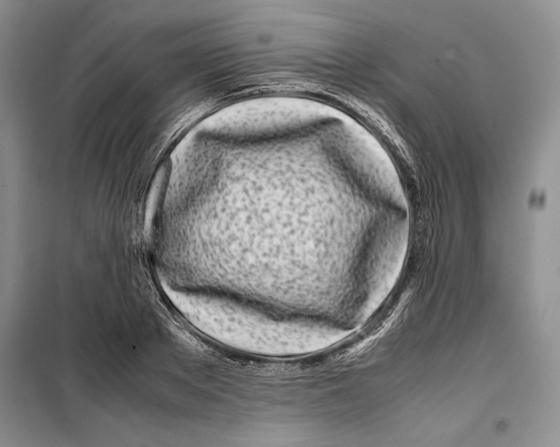 X0000099460889200806061126