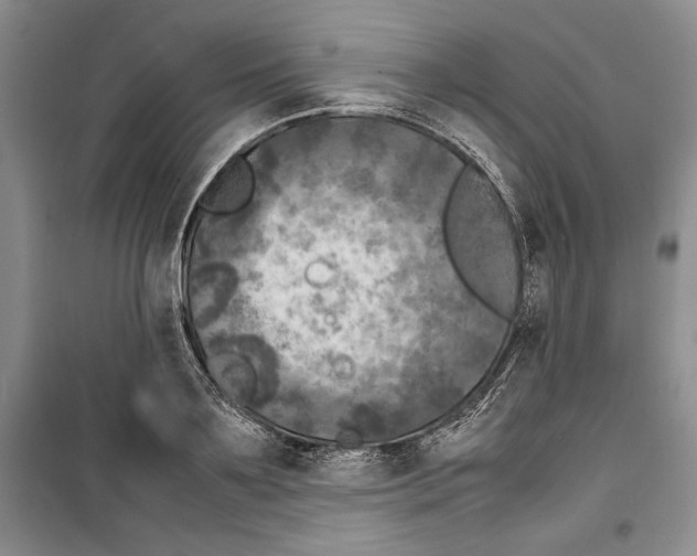 X0000099460891200806061126