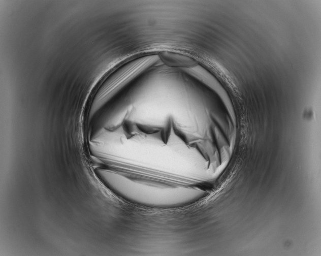 X0000099460892200806061126