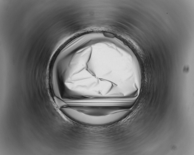 X0000099460894200806061126