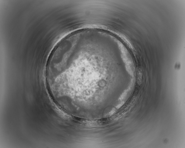 X0000099460895200806061126