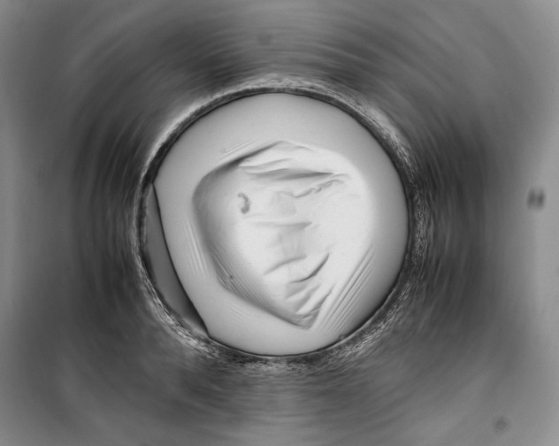 X0000099460896200806061126