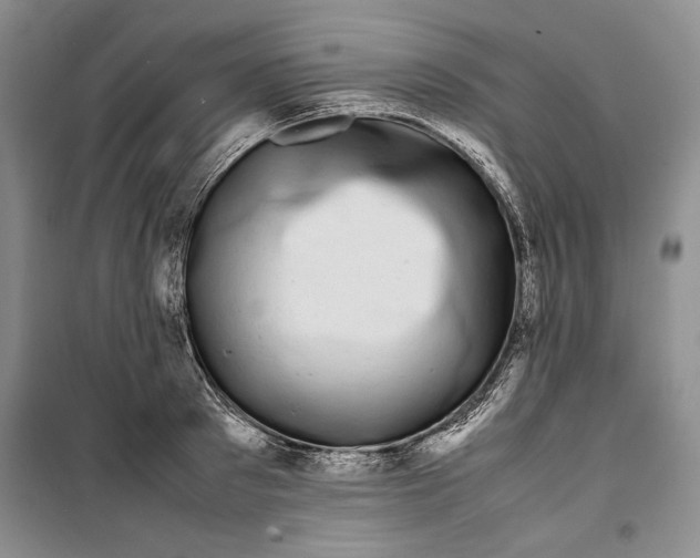 X0000099460897200806061126