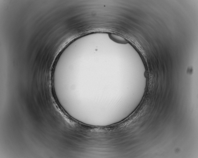 X0000099460898200806061126