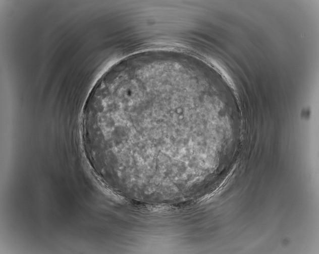 X0000099460899200806061126