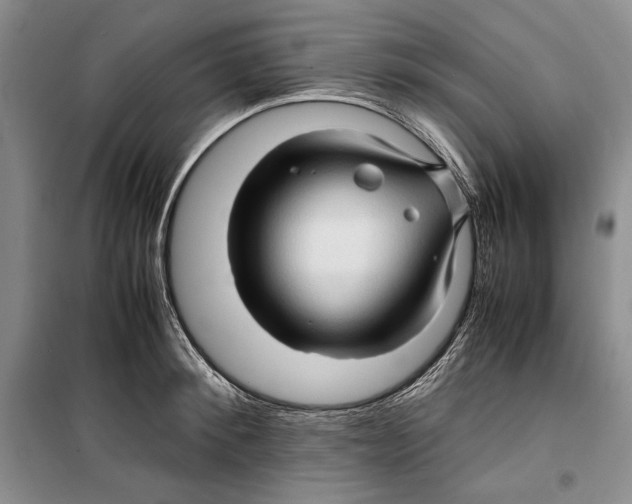 X0000099460900200806061126