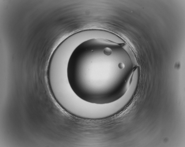 X0000099460901200806061126