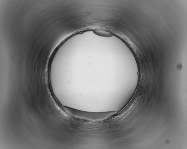 X0000099460902200806061126