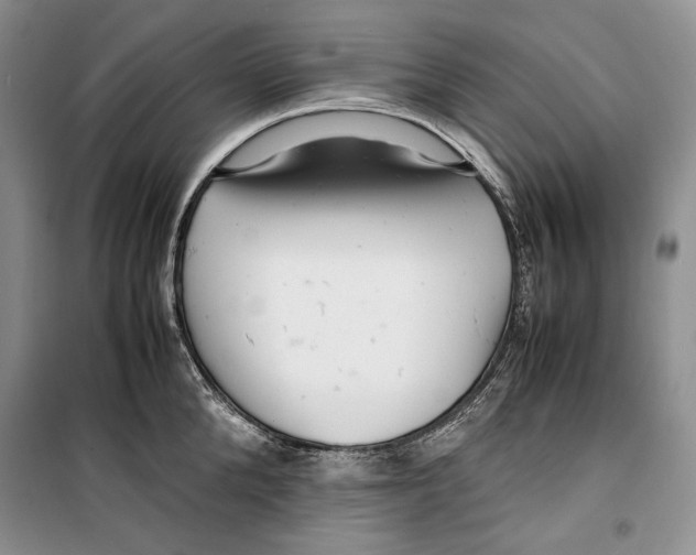 X0000099460904200806061126