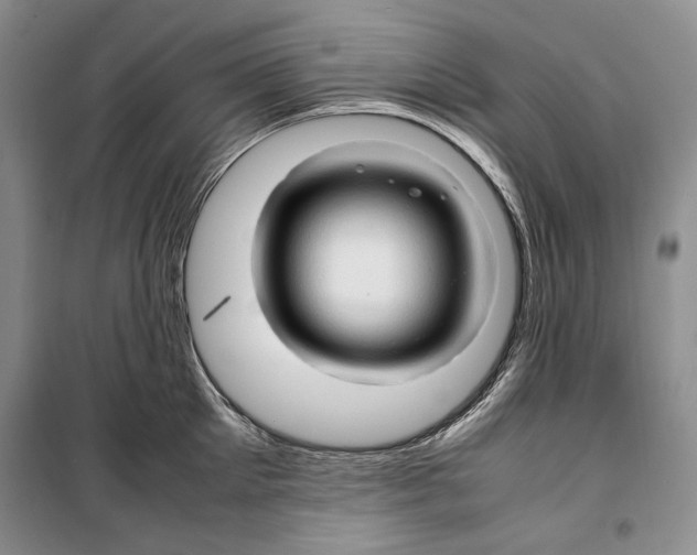 X0000099460905200806061126