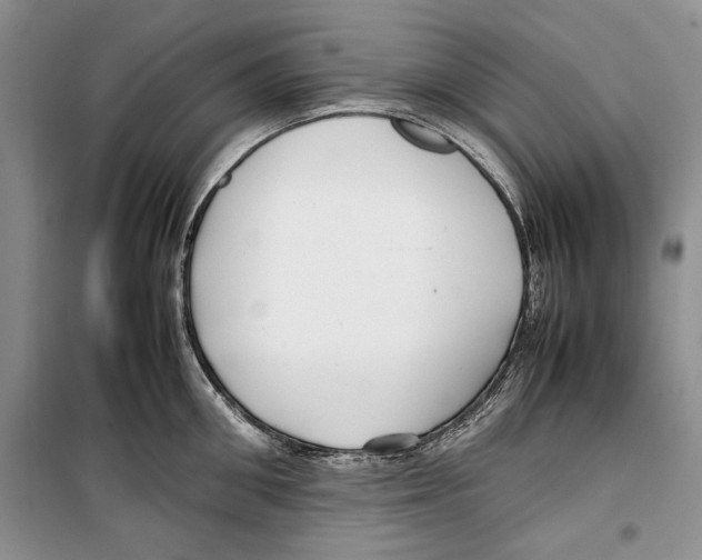 X0000099460906200806061126