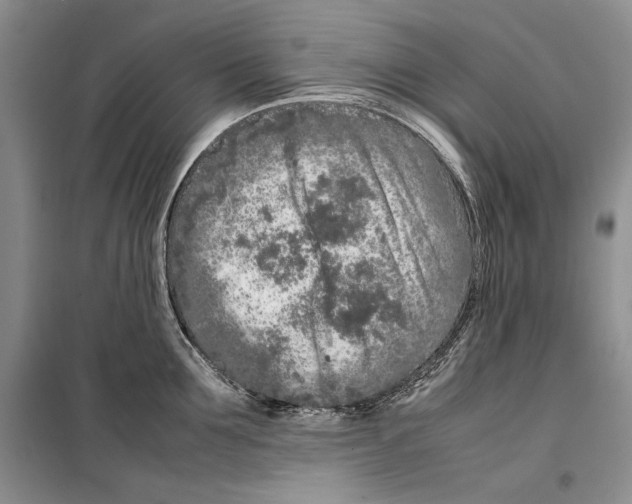 X0000099460907200806061126