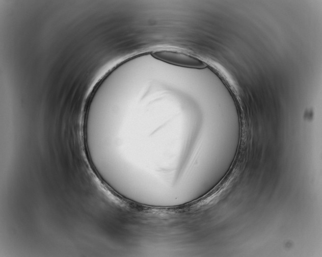 X0000099460910200806061126