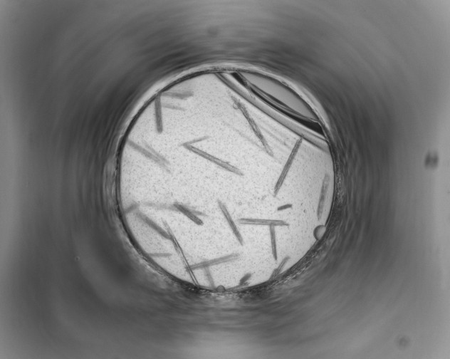 X0000099460911200806061126