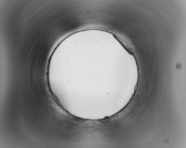 X0000099460912200806061126