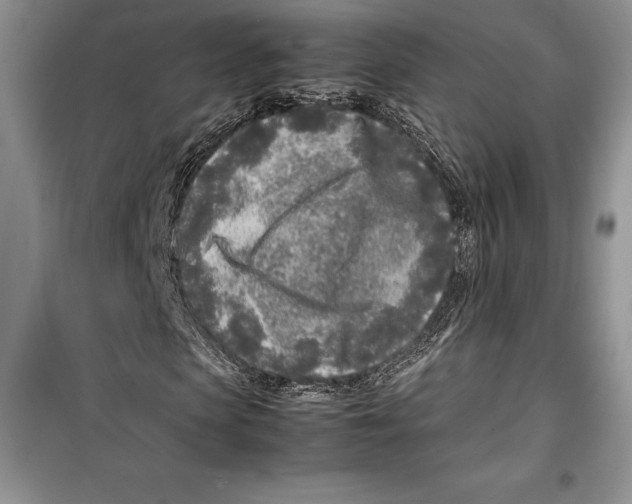 X0000099460913200806061125