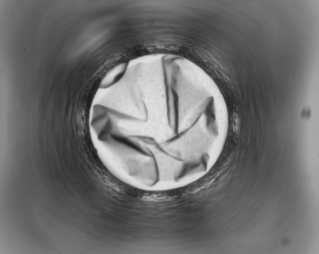 X0000099460915200806061125