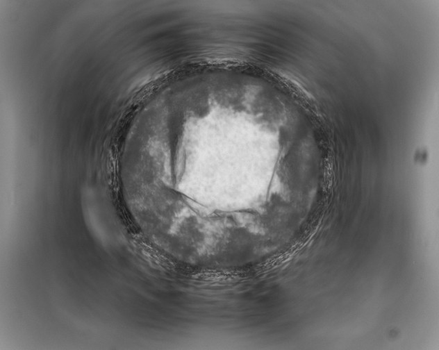 X0000099460917200806061125