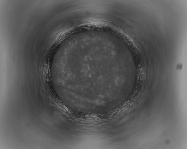 X0000099460918200806061125