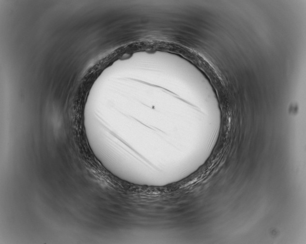 X0000099460919200806061125