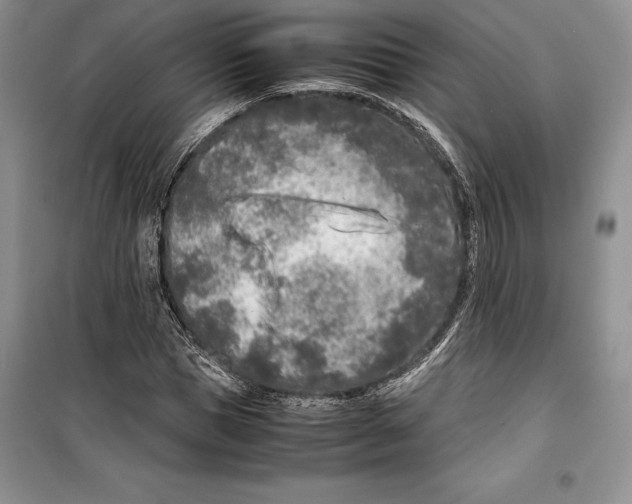 X0000099460921200806061125