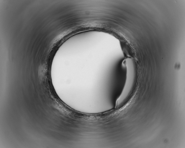 X0000099460922200806061125