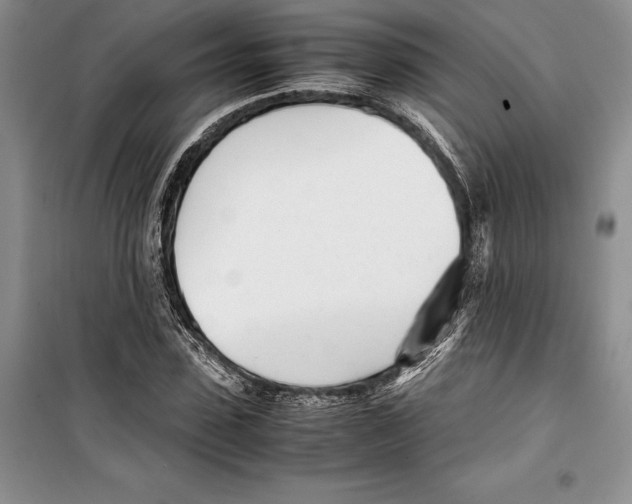 X0000099460923200806061125