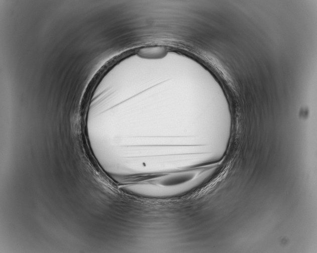 X0000099460924200806061125