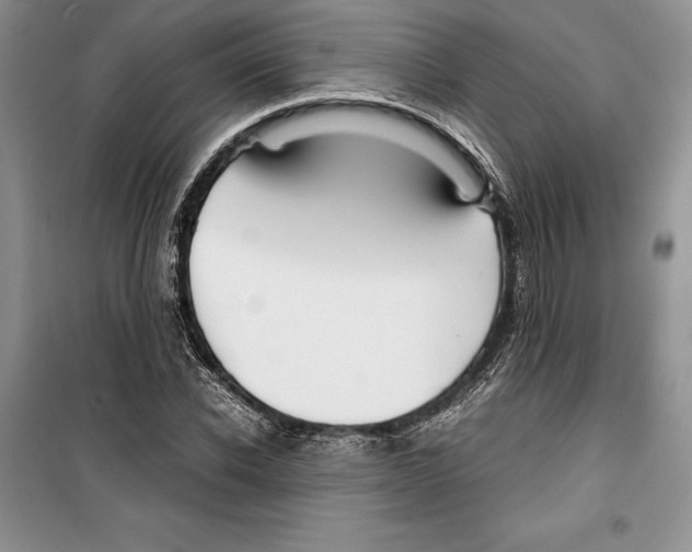 X0000099460926200806061125